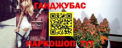 мет Кингисепп