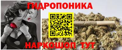 эйфоретик Кимры