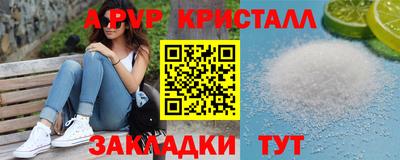 мет Кингисепп