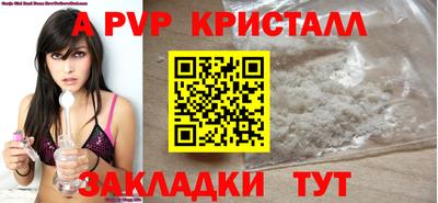 мет Кингисепп