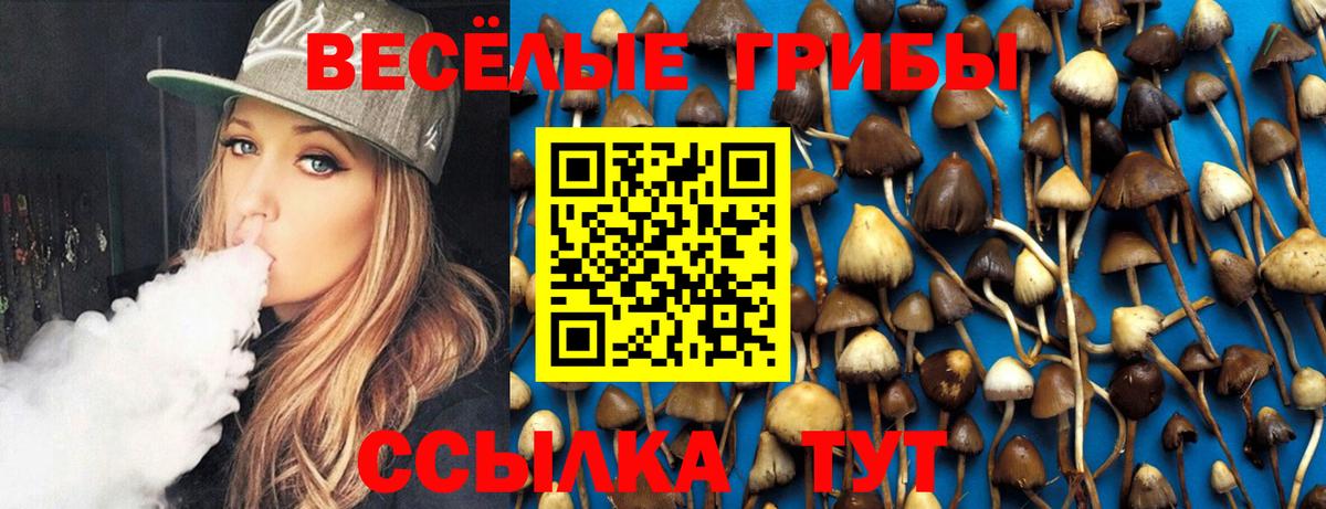 Галлюциногенные грибы Psilocybine cubensis  Вход с VPN  Жигулёвск 